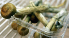 [配资平台网站排名]内部控制规范问题受关注 华洋赛车北交所IPO收三轮审核问询