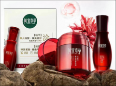 正规炒股配资网站-业绩降幅有限煤炭板块的估值及股息率仍具备明显吸引力