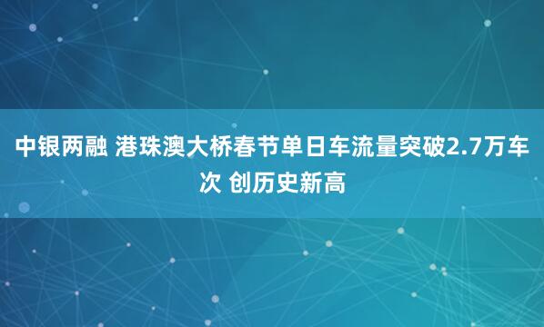 中银两融 港珠澳大桥春节单日车流量突破2.7万车次 创历史新高