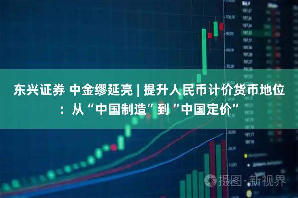 东兴证券 中金缪延亮 | 提升人民币计价货币地位:从“中国制造”到“中国定价”