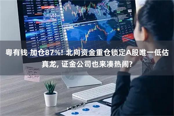 粤有钱 加仓87%! 北向资金重仓锁定A股唯一低估真龙, 证金公司也来凑热闹?