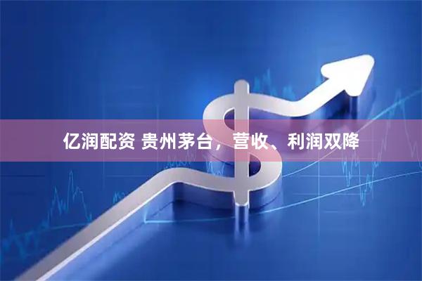亿润配资 贵州茅台，营收、利润双降