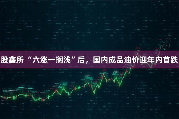 股鑫所 “六涨一搁浅”后,国内成品油价迎年内首跌