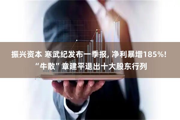 振兴资本 寒武纪发布一季报, 净利暴增185%! “牛散”章建平退出十大股东行列