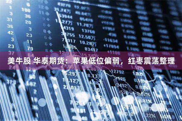 美牛股 华泰期货:苹果低位偏弱,红枣震荡整理
