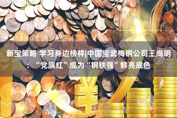 新宝策略 学习身边榜样|中国宝武梅钢公司王尚明：“党旗红”成为“钢铁强”鲜亮底色
