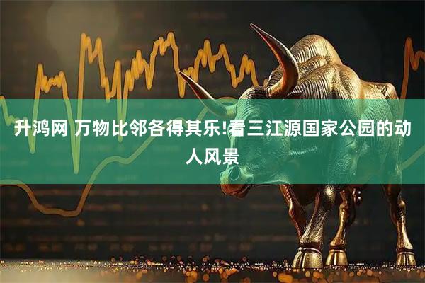 升鸿网 万物比邻各得其乐!看三江源国家公园的动人风景